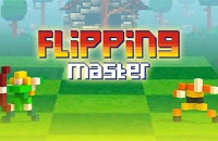 Flipping Master